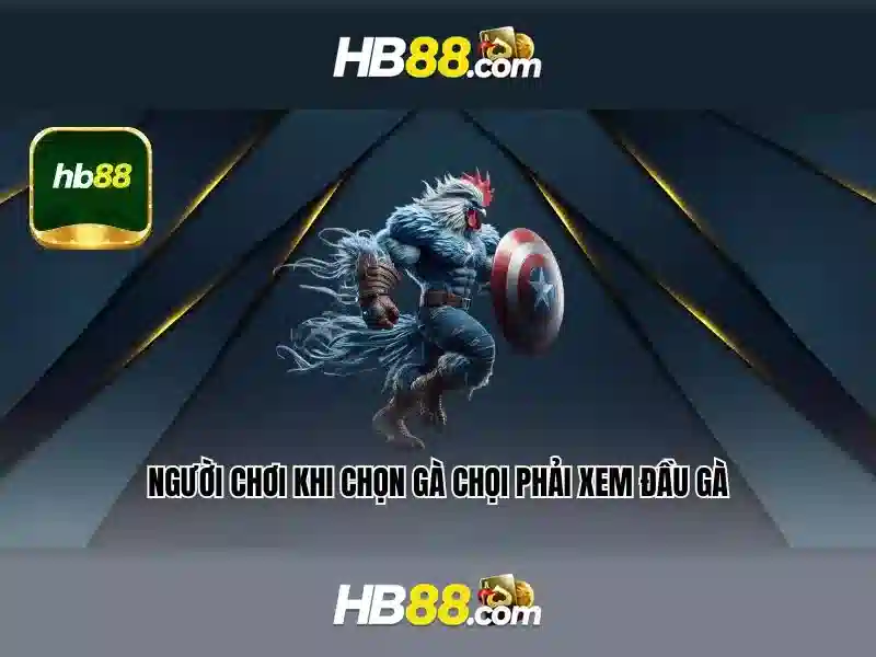 Nền tảng và tính năng