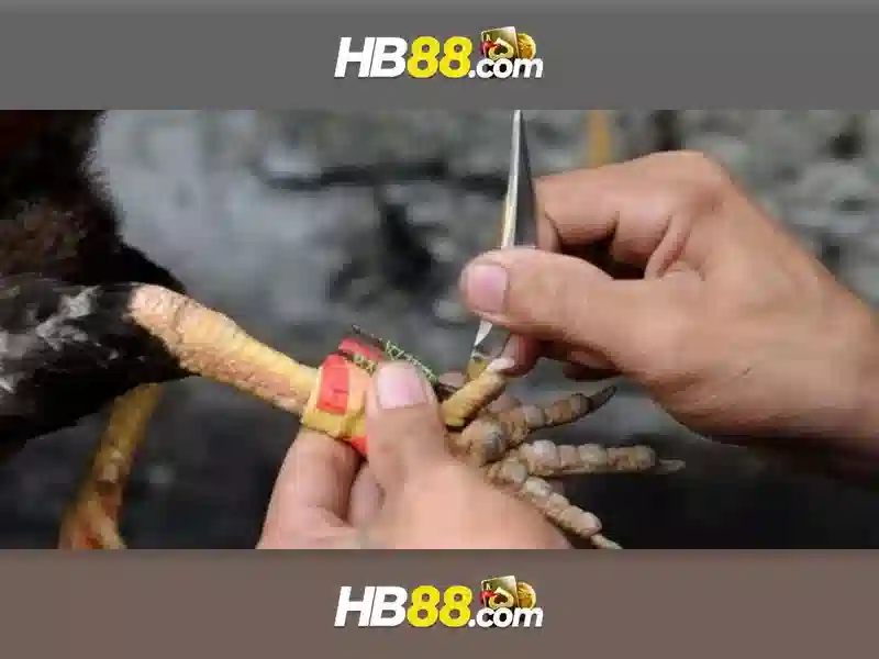 Slots Online - Vietcasino.org