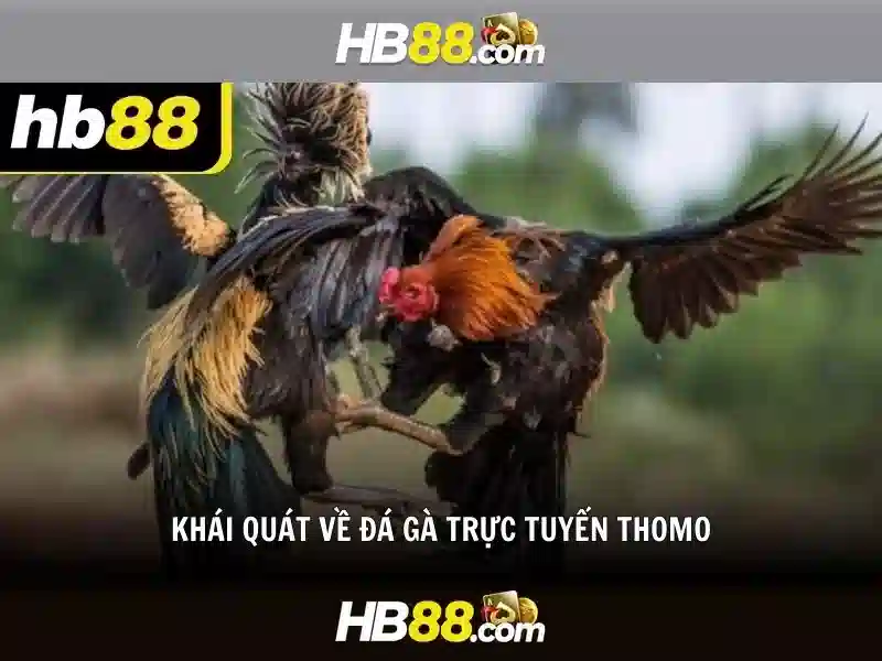 HB88: Khám phá và ý nghĩa