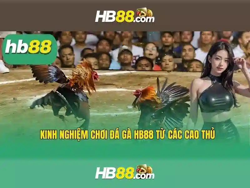 Các sản phẩm và trò chơi trên HB88