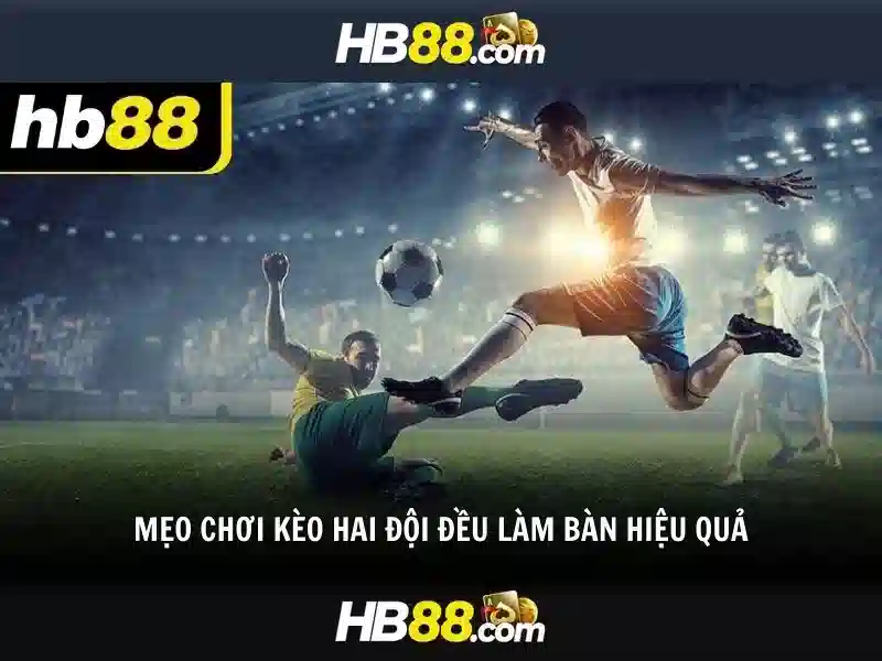 HB88 – Tổng quan về nền tảng cá cược trực tuyến