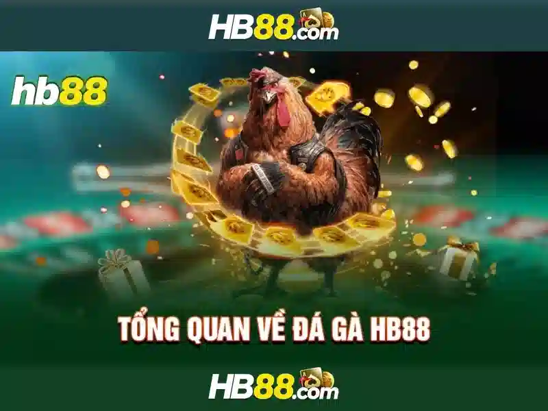 hb88 - Tổng quan về nền tảng cược trực tuyến