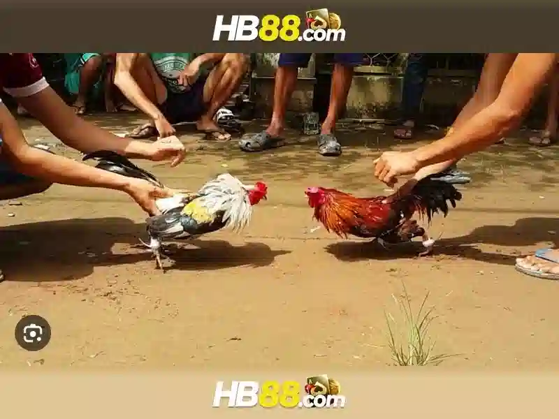 hb88 là gì? Khám phá nền tảng trò chơi trực tuyến hb88