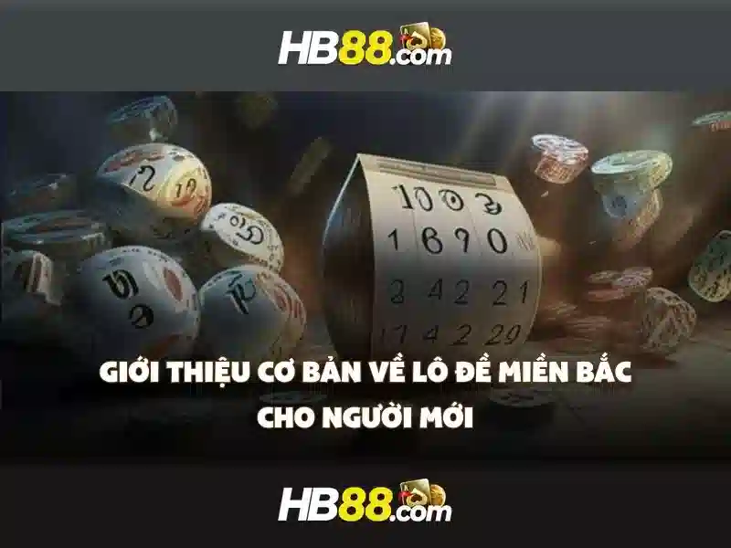 Giao diện và trải nghiệm người dùng