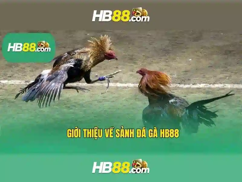 Khuyến mãi và thưởng