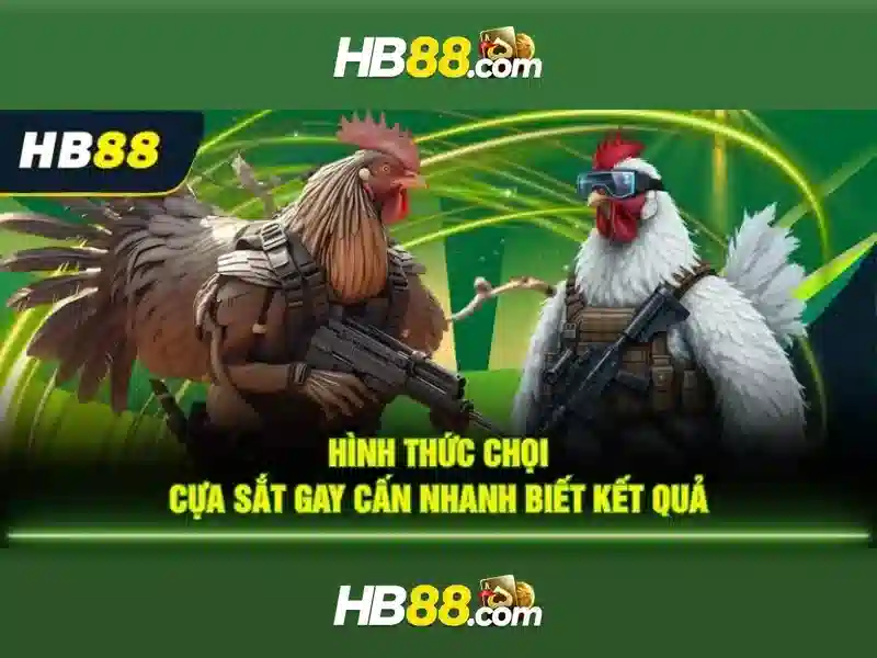 HB88: Tổng quan về nền tảng cá cược trực tuyến an toàn và tiện lợi