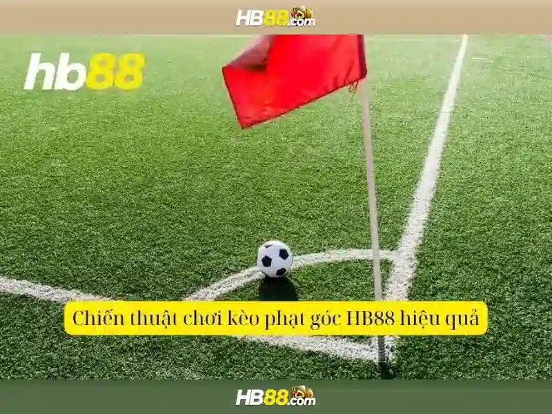 hb88: Tổng quan về nền tảng và trải nghiệm