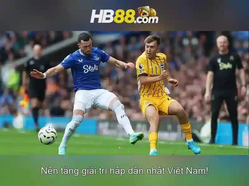 HB88: Đánh giá trang cá cược trực tuyến