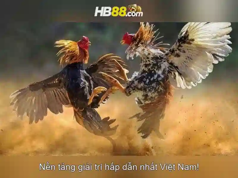 An toàn và bảo mật