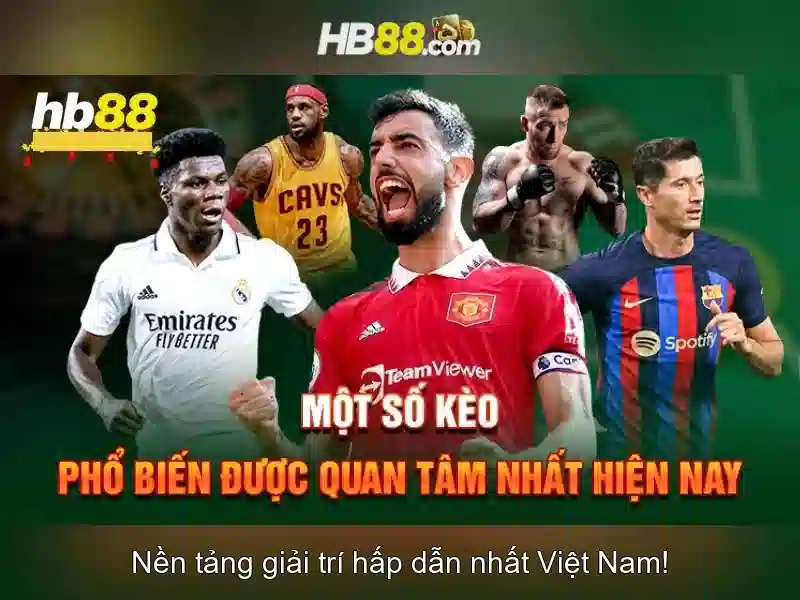 HB88 là gì?