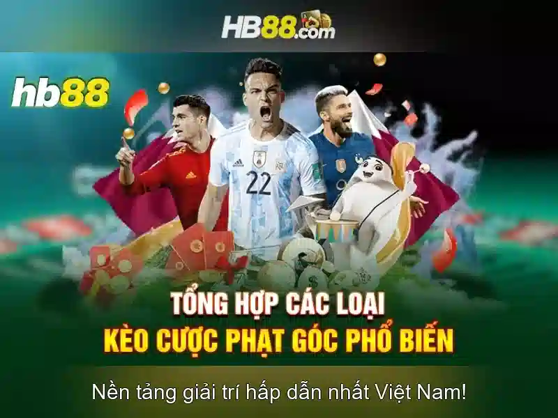 Quy trình thực thi HB88