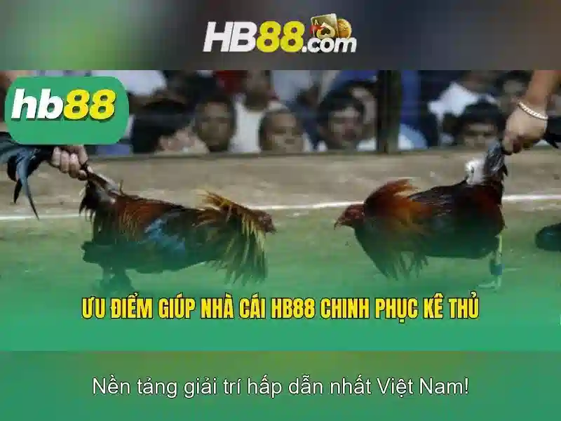 'Các tính năng nổi bật'