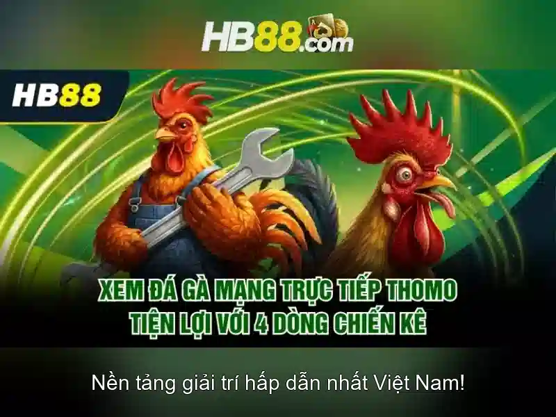 HB88 là gì và những điều bạn cần biết