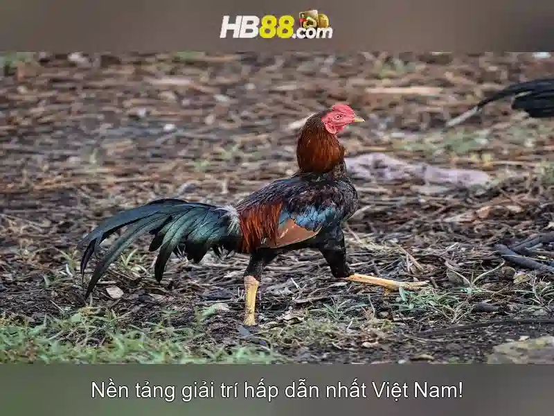 An toàn và xác thực