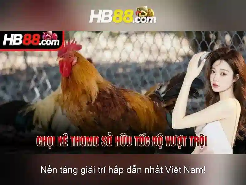Nguồn gốc và bối cảnh HB88