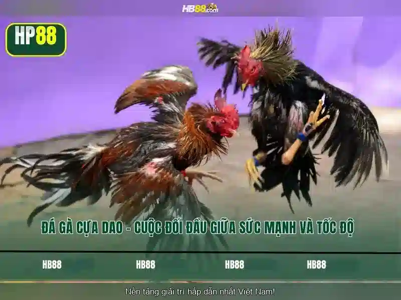hb88 — Tổng quan về nền tảng cá cược trực tuyến
