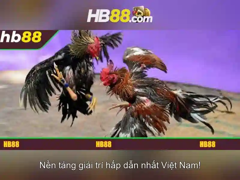 HB88 là gì và những điều người chơi nên biết