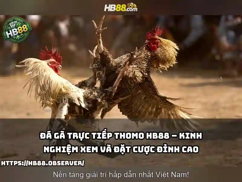Khuyến mãi và chương trình thưởng